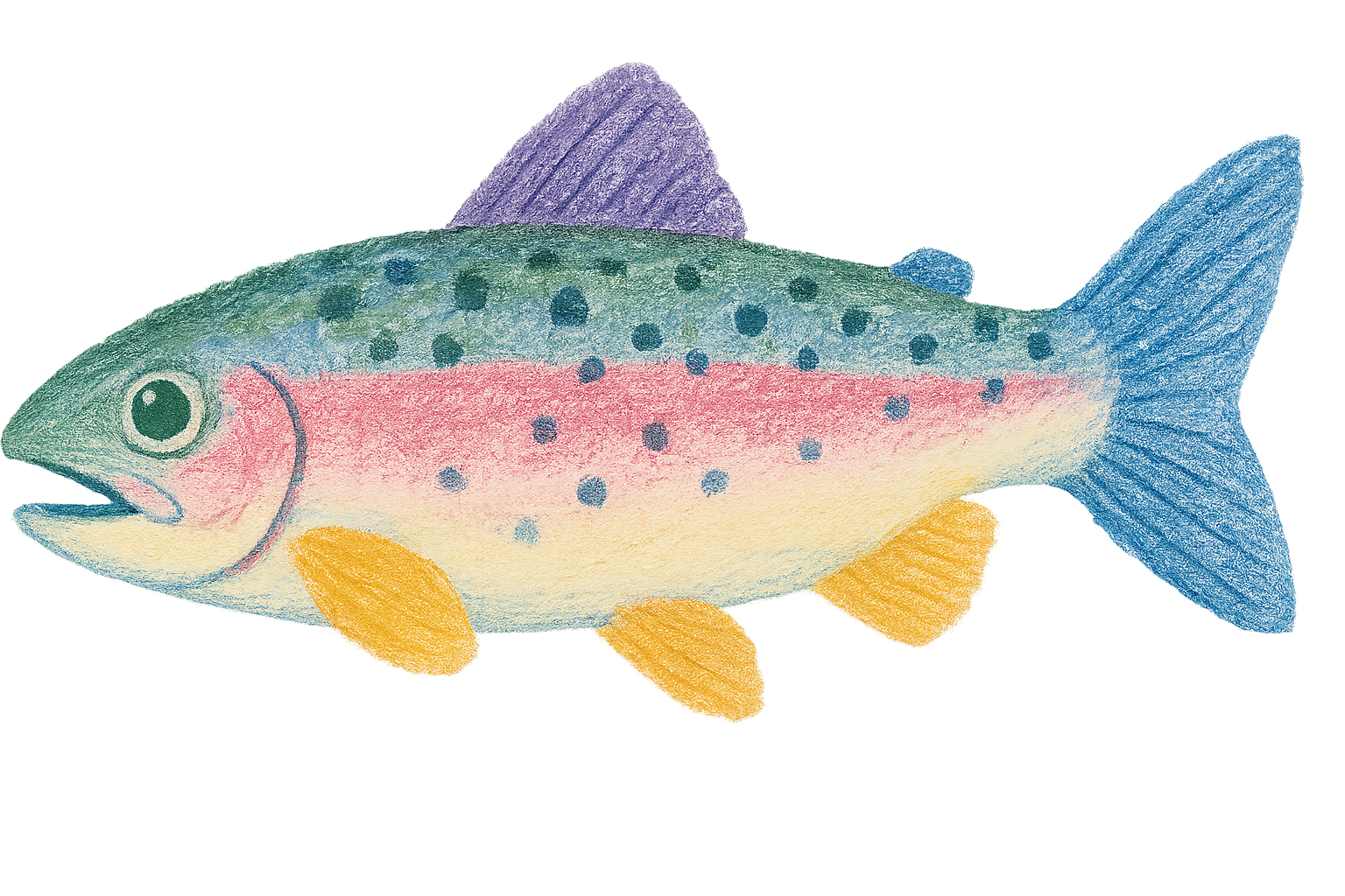 Collection thumbnail